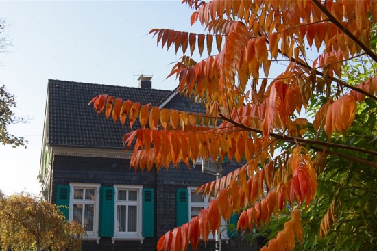 Artikelfoto Artikelfoto