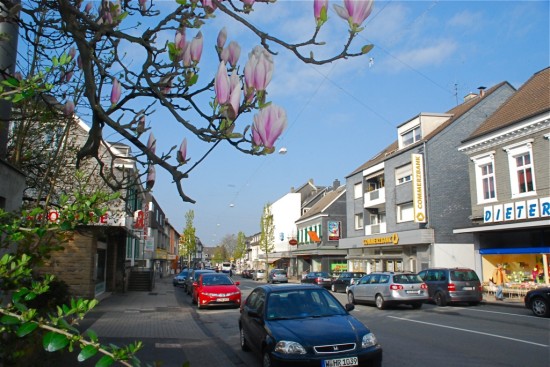 Artikelfoto Artikelfoto