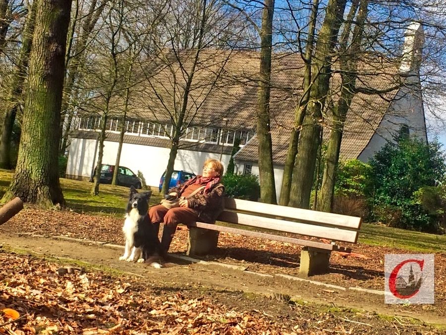 Artikelfoto Artikelfoto