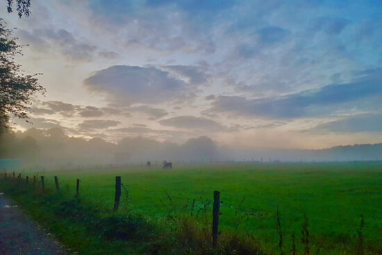 Artikelfoto Artikelfoto