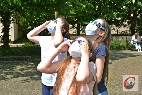 Artikelfoto Artikelfoto