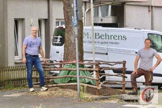 Umzäunt, mit gelockerter Baumscheiben-Erde oder auch Wassersäcken – auf diese Weise will Michael Behrens (re.) den stattlichen Straßenbaum an der Küllenhahner Straße besser durch den Sommer helfen. | Foto: Meinhard Koke