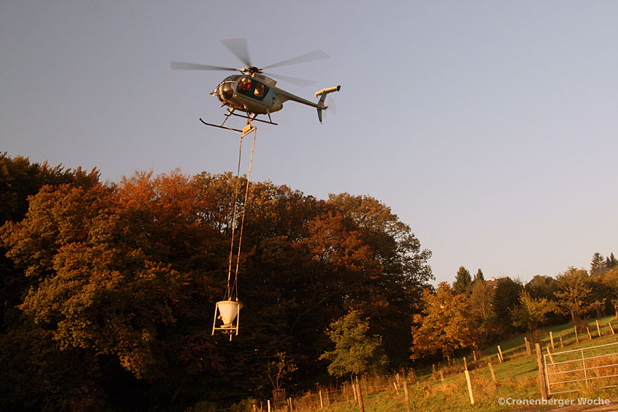 gelpetal_kalk_3461 gelpetal_kalk_3461