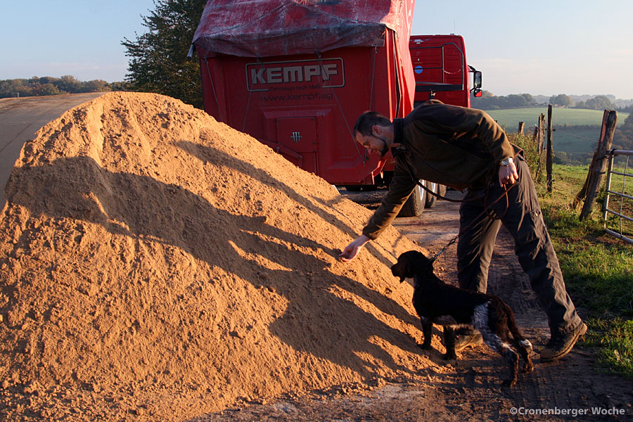 gelpetal_kalk_3462 gelpetal_kalk_3462